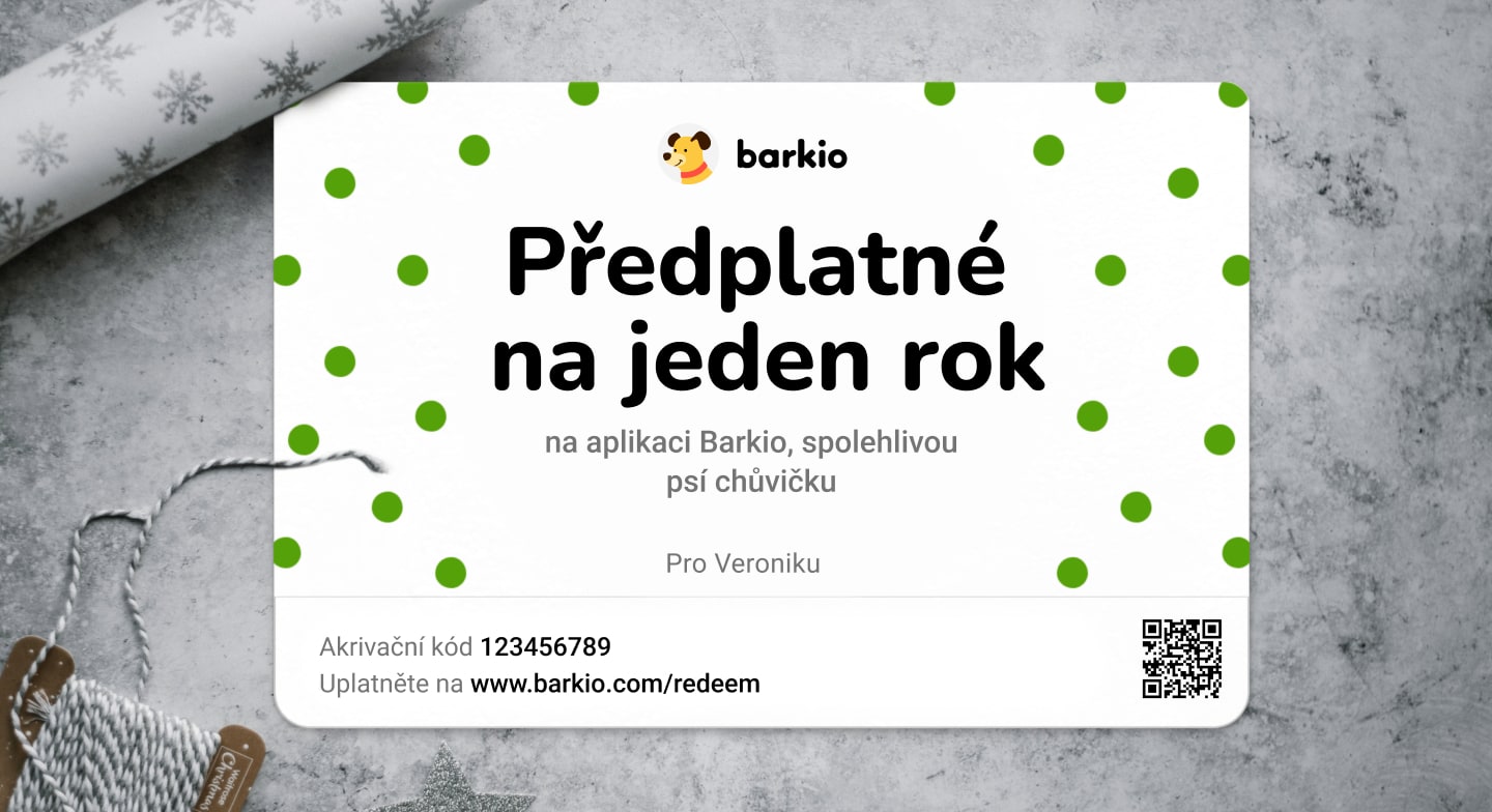 BarkioDottedCard-cs.jpg